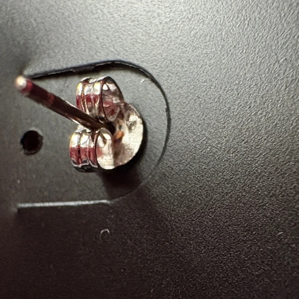 Coach Silver and Brown Earrings - Picture 3 of 10